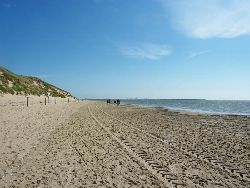 Amrum