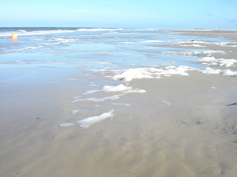 Amrum