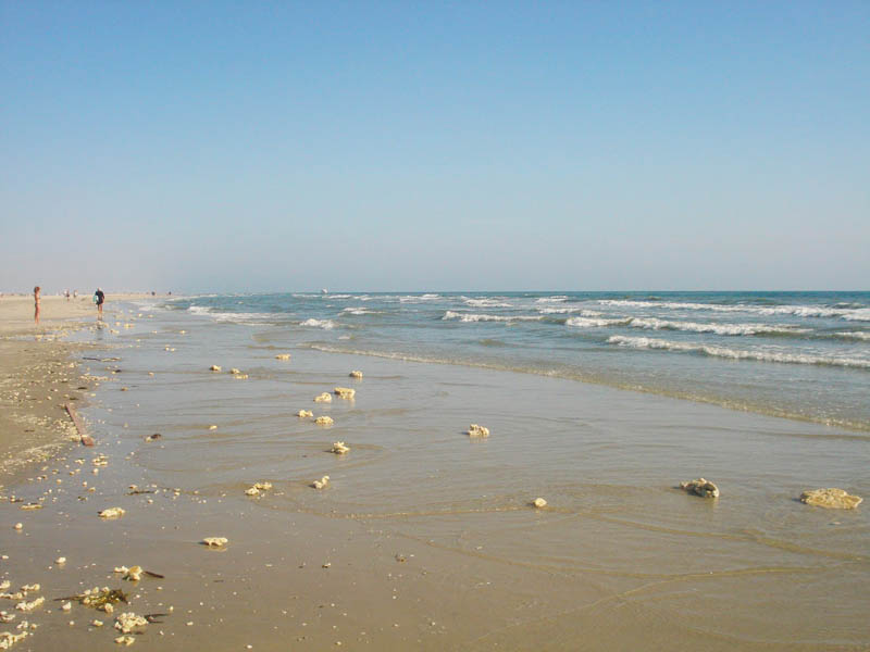Amrum